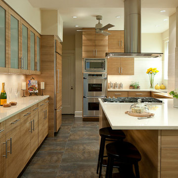 Greater Chicago Area Kitchen