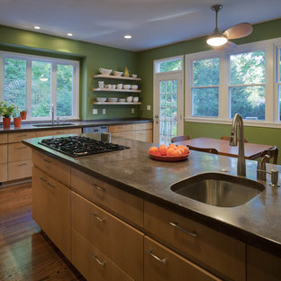 Ispirazione per una cucina abitabile minimal con ante lisce, top in cemento e ante in legno scuro