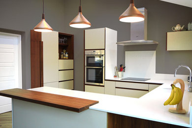 Photo of a contemporary kitchen in Other.