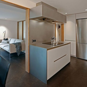 Greenlake Modern Kitchen