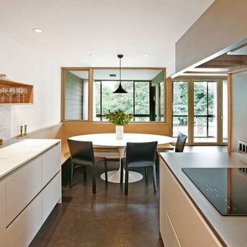 Greenlake Modern Kitchen