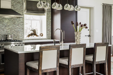 Design ideas for a classic kitchen in Boston with flat-panel cabinets, dark wood cabinets and dark hardwood flooring.