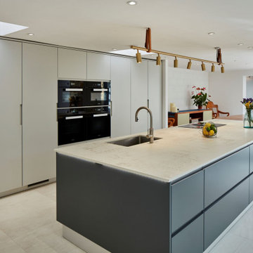Grey minimalist modern kitchen