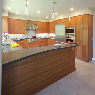 Harbor Bay Whole House Remodel