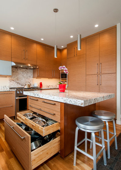 Contemporary Kitchen by WoodHart Interiors & Design, LLC