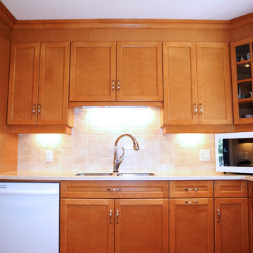 Harvest Crescent Kitchen Renovation
