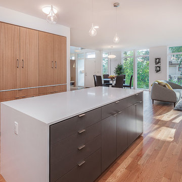 Hawthorne Hills Modern House kitchen and pantry