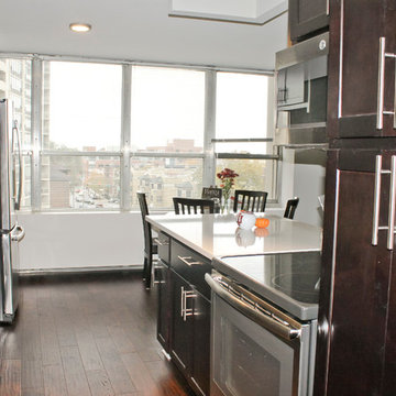 Hi-Rise Condo Remodeling - Lakeview - Chicago, IL