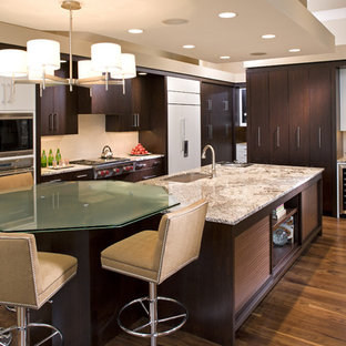Trendy kitchen photo in Minneapolis with flat-panel cabinets and dark wood cabinets
