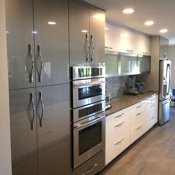 High Gloss Slab Cabinets with Stainless Steel Appliances.