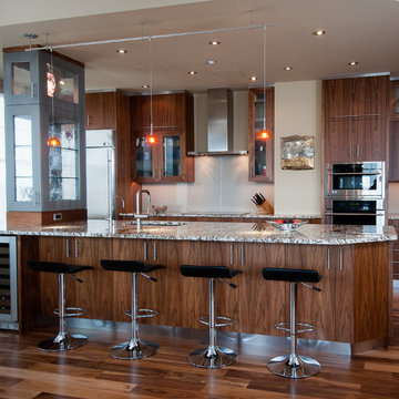 HIGH RISE KITCHEN REMODEL - Contemporary