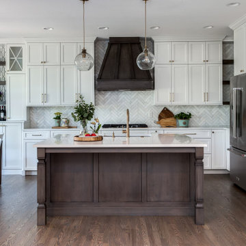 Highlands Ranch Sleek Transitional Kitchen