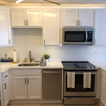 Highrise Condo Remodel Lakeview Chicago