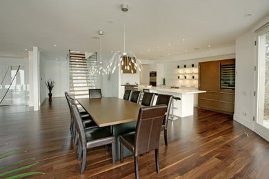 Kitchen/dining room combo - large modern medium tone wood floor kitchen/dining room combo idea in Toronto
