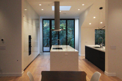 Example of a minimalist kitchen design in San Francisco