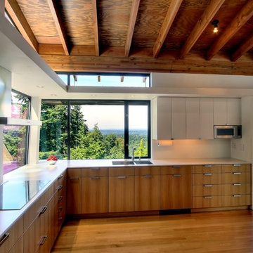 Hillside house - kitchen