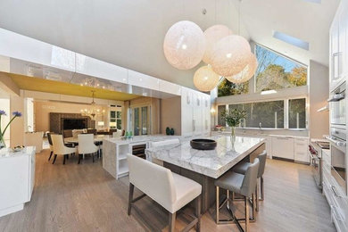 Eat-in kitchen - huge transitional light wood floor and brown floor eat-in kitchen idea in Chicago with flat-panel cabinets, white cabinets, an island and stainless steel appliances