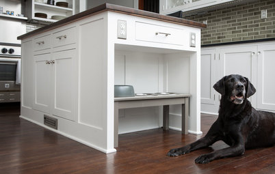 Pet-Friendly Design: Making Room for the Dog Dish