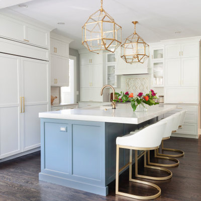 Transitional kitchen photo in Chicago