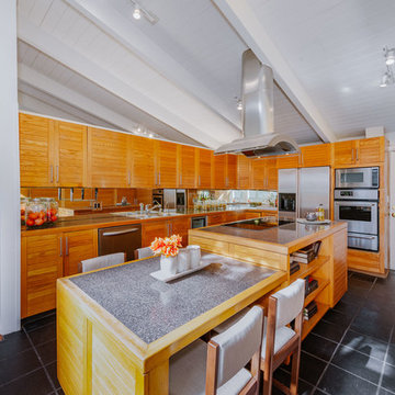 Hollywood Hills Mid-Century Modern