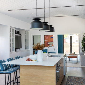 Homage to the Eichler Home