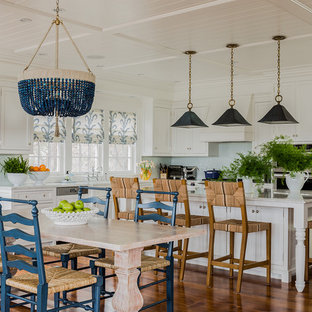 Coastal kitchen designs - Kitchen - coastal dark wood floor kitchen idea in Boston with shaker cabinets, white cabinets and an island