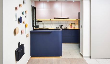 Houzz Tour: Jaunty His-And-Hers Colours Enliven This Flat