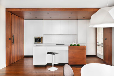 Kitchen - contemporary dark wood floor kitchen idea in Other with flat-panel cabinets, white cabinets, white backsplash, paneled appliances and an island