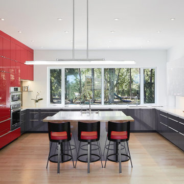 House on Grand River - Kitchen