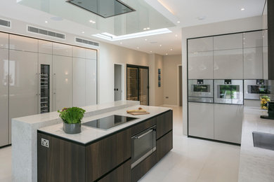 This is an example of a contemporary open plan kitchen in London with an integrated sink, flat-panel cabinets, grey cabinets, stainless steel appliances, ceramic flooring, an island and grey floors.