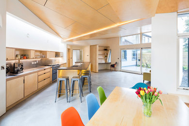 На фото: прямая кухня-гостиная в современном стиле с плоскими фасадами, светлыми деревянными фасадами, бетонным полом и островом