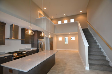 This is an example of a contemporary kitchen in Indianapolis.