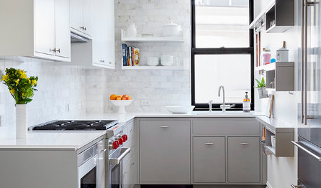 The 100-Square-Foot Kitchen: A Dark Space Sees the Light