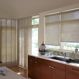 Contemporary kitchen pictures - Example of a trendy kitchen design in Other