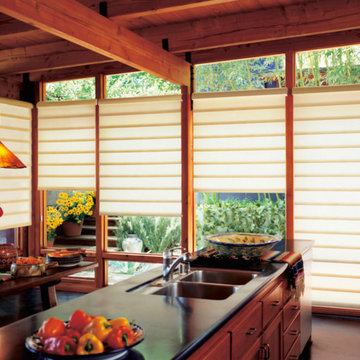 Hunter Douglas Window Treatments