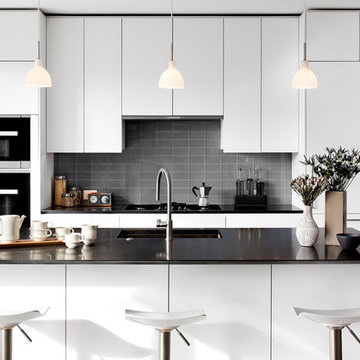IDEA Arctic White Melamine Remodel in Del Ray, Alexandria