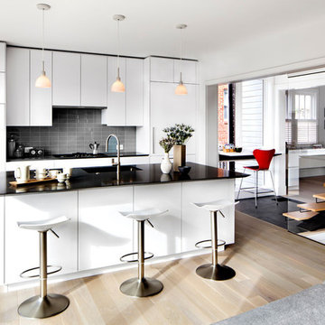 IDEA Arctic White Melamine Remodel in Del Ray, Alexandria