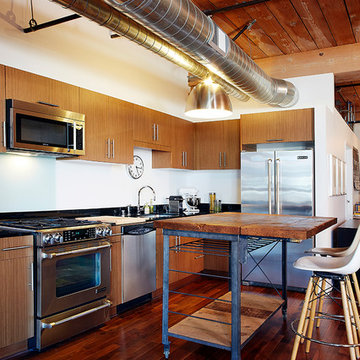 Industrial Artist's Loft