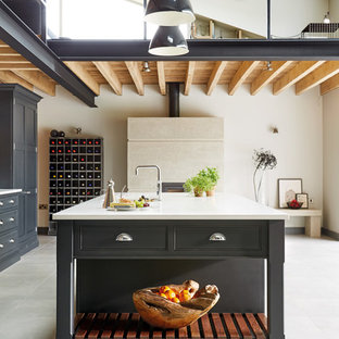 Esempio di una grande cucina ad ambiente unico industriale con ante in stile shaker, isola e ante grigie