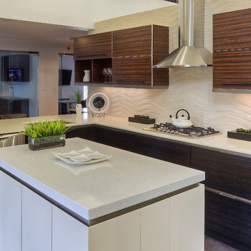 Innovative Kitchen Design - Contemporary with Aluminum Accents