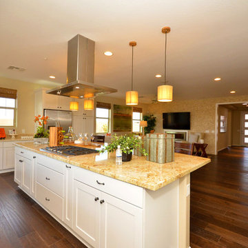 Intrigue @ Marbella Vineyards | Gilbert, AZ | 4092 - Captivate Plan