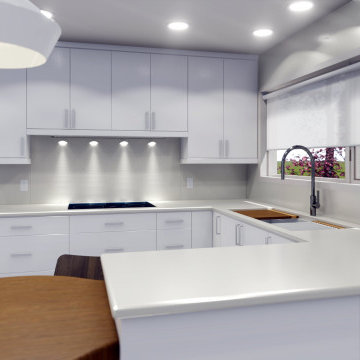 Irving Kitchen Design Project
