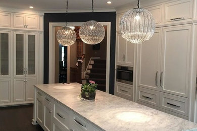 Kitchen - large transitional dark wood floor kitchen idea in Chicago with marble countertops and an island
