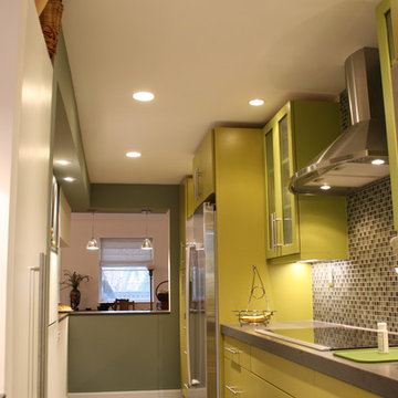 Jamaica Plain Modern Kitchen