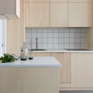 Japanese style, Minimal, Modern, Plywood Kitchen