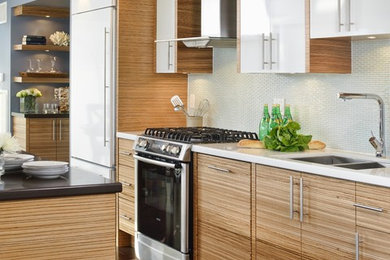 Inspiration for a small contemporary galley medium tone wood floor kitchen remodel in Toronto with a double-bowl sink, flat-panel cabinets, white cabinets, quartz countertops, green backsplash, glass tile backsplash, stainless steel appliances and an island