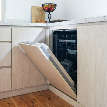 Integrated dishwasher in laminex plywood