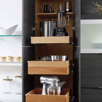 Example of a minimalist kitchen design