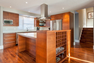 Inspiration for a mid-sized modern l-shaped dark wood floor and brown floor eat-in kitchen remodel in Calgary with flat-panel cabinets, red cabinets, quartzite countertops, an island, stainless steel appliances, a double-bowl sink and gray backsplash