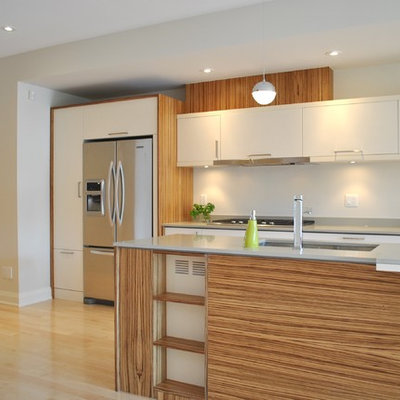 Minimalist kitchen photo in Ottawa with stainless steel appliances, quartz countertops, flat-panel cabinets and white cabinets